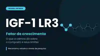 IGF-1 LR3 - fator de crescimento semelhante à insulina