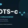 MOTS-c - peptídeo derivado da mitocôndria